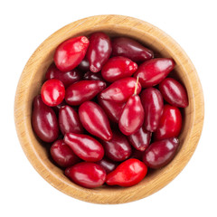 Fresh red dogwood berries in wooden bowl isolated on white background. Top view.