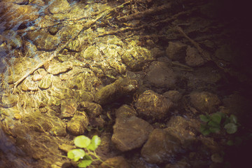 Small clear stream above the stones.