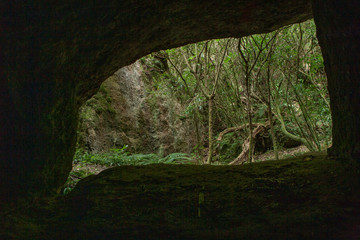 Trotters Gorge. Hillgrove. Otago New Zealand. Cave