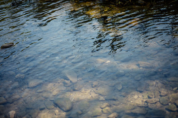 Crystal natural clear lake water like a background.