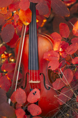 beautiful red wooden violin with a bow on green grass against the background of autumn bush in nature, musical instrument in foliage, concept art and music