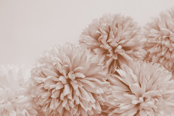 Beautiful abstract color red and brown flowers on white background and light red flower frame and brown leaves texture, yellow background, white banner happy valentine