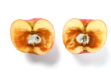 cut out badly overripe apple with moldy core on white background