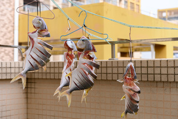Fototapeta premium raw fishes being air dried on a balcony horizontal compositon