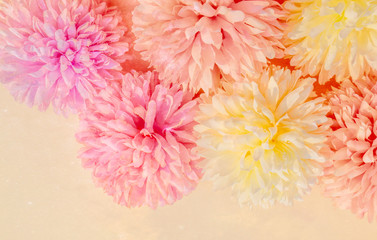 Beautiful abstract color purple and pink flowers on yellow background and white flower frame and pink leaves texture, pink background, colorful banner happy valentine