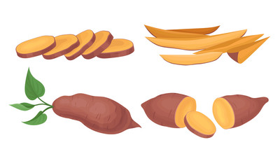 Obraz premium Chopped and Cut into Slices Sweet Potatoes Vector Set