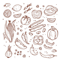 Hand drawn doodle Fresh Fruits and Vegetables - Vector set