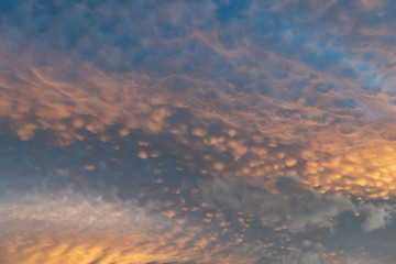 Picturesque cirrus clouds in the sunset light. Orange and blue colors. Dramatic look. Copyspace for design and title. Vertical view