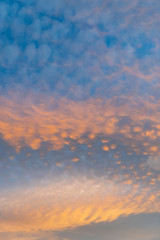 Picturesque cirrus clouds in the sunset light. Orange and blue colors. Dramatic look. Copyspace for design and title. Vertical view