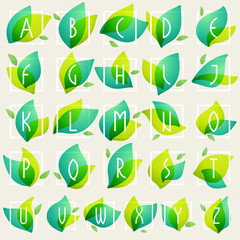 Obraz premium Alphabet in square frames at green leaves watercolor background.