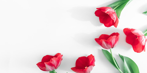 Flowers composition romantic. Red tulips on white background. Wedding. Birthday. Happy womens day. Mothers Day. Valentine's Day. Flat lay, top view, copy space