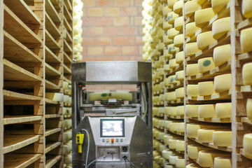 modern and traditional cheese making with high tech robot assisting