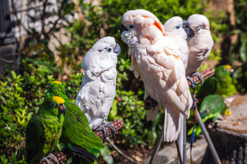 Hong Kong attractions