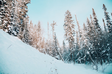 nature of Siberia in winter on lake Baikal