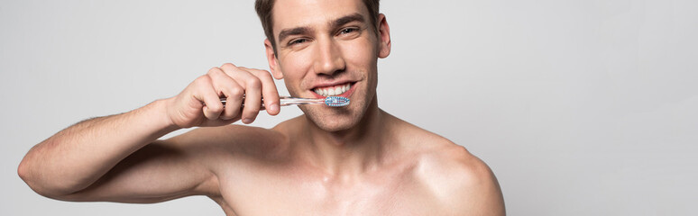 smiling sexy man with bare torso brushing teeth isolated on grey, panoramic shot