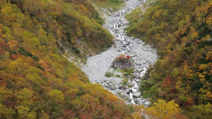 北アルプス　紅葉　秋