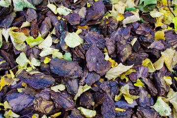 background of stones