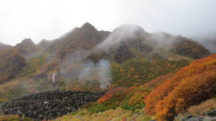 北アルプス　涸沢　紅葉　秋　風景　カール