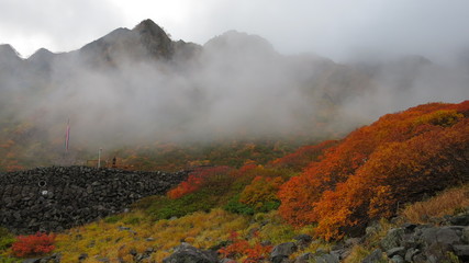 北アルプス　涸沢　紅葉　秋　風景　カール
