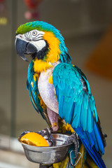 Singapore main attractions