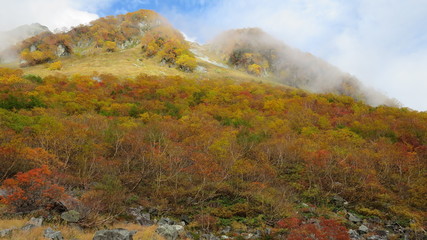 北アルプス　紅葉　秋　風景