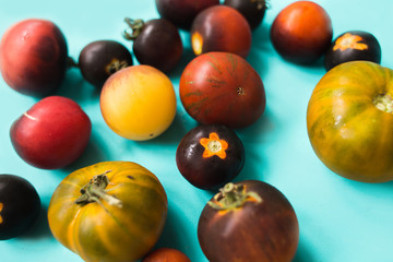 fresh colorful tomatoes on a blue background
