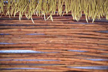 bamboo wall blur background 