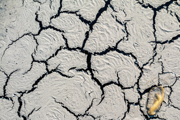 The structure of the earth's surface cracks, soil on a white background, desert cracks, arid surfaces in the dry ground, with many fissures and scratches