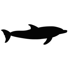 vector, isolated, dolphin black silhouette