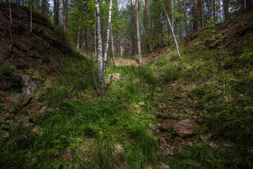 Old open pit mine amethyst crystalls in forest