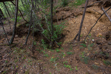 Old open pit mine amethyst crystalls in forest