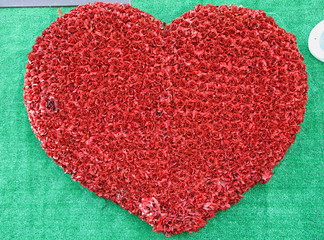 Rose Flower on Heart Symbol 