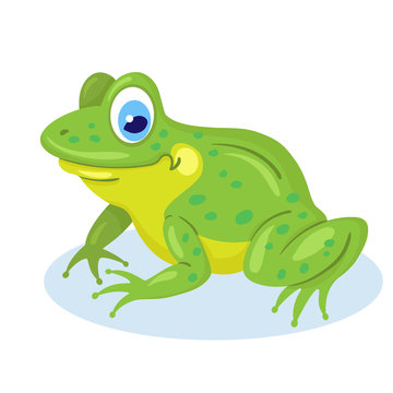 Little funny frog is sitting. Isolated on white background. Flat style. Vector illustration.