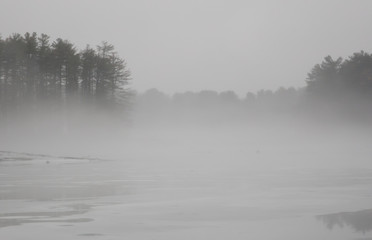 Obraz na płótnie Canvas Winter Pond in a Fog