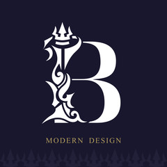 Elegant Capital letter B. Graceful Royal Style. Creative Calligraphic Beautiful Logo. Vintage Drawn Emblem for Book Design, Brand Name, Business Card, Restaurant, Boutique, Hotel. Vector illustration