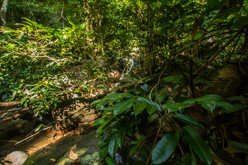 Kathu Waterfall, Phuket, Thailand. A forest path in a beautiful, abundant waterfall.