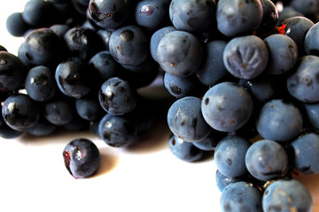 blue grape berries