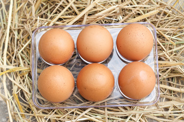 Top view Six brown eggs product protein yolk chicken easter shell tray mockup on rice straw background.
