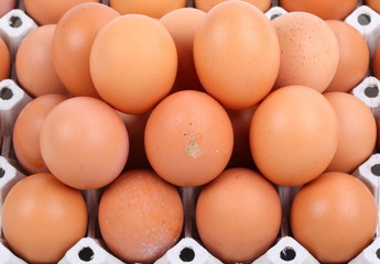 close up of eggs in cardboard container