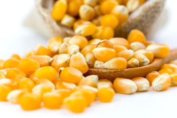 Healthy corn on the wooden spoon.