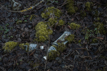 Fototapeta premium plastic bottles in the forest overgrown with more. The problem of ecology