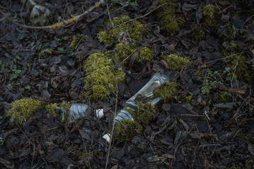 plastic bottles in the forest overgrown with more. The problem of ecology