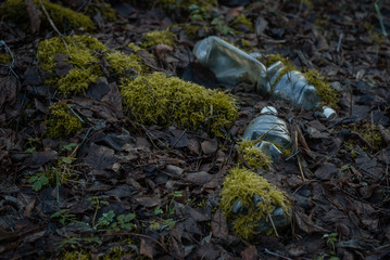 Naklejka na ściany i meble plastic bottles in the forest overgrown with more. The problem of ecology