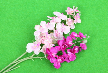 Naklejka na ściany i meble Colorful artificial orchid flowers on green background 