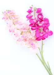 Colorful artificial orchid flowers isolated on white background 