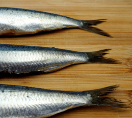 Tres lomos de sardinas en primer plano