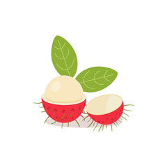 Rambutan with leaves and isolated white background.Vector illustration.Rambutan Fruit Split In Half