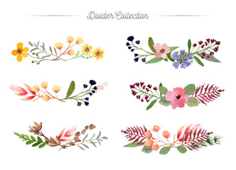 floral divider watercolor collection