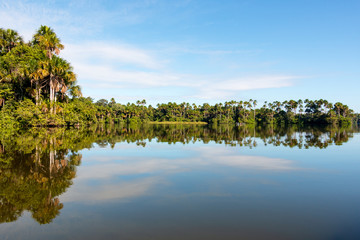 Fototapeta premium lake in amazonas