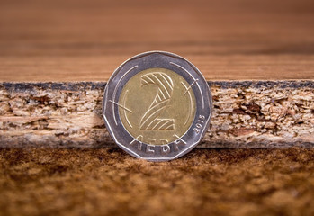 The national currency of Bulgaria. Two leva